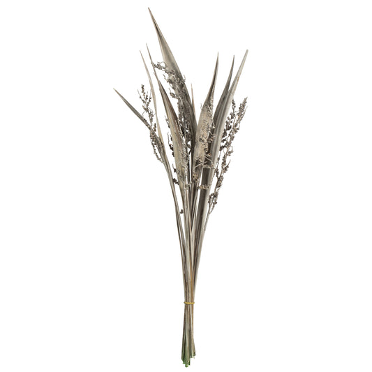 Vickerman 36" White Wash Bahia Spears with Seeds 2 pack Dried