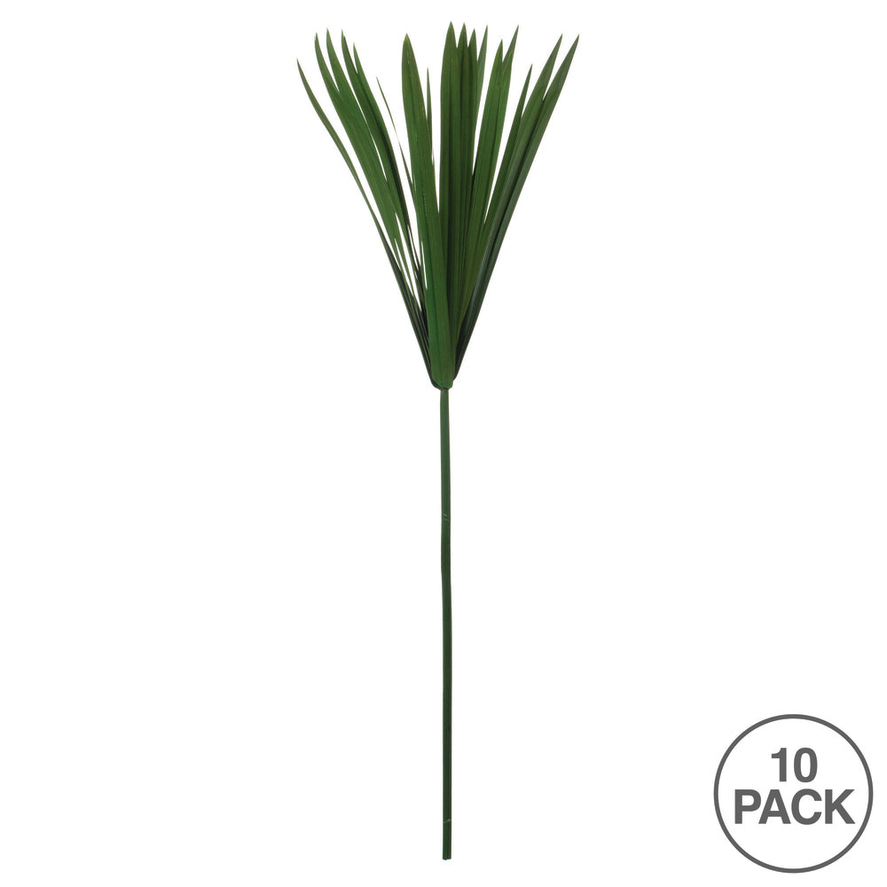 Vickerman 24-30" Green Papyrus XL 6 stem Bunch Preserved