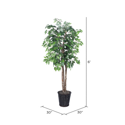 Vickerman 6' Artificial Ficus Deluxe Rattan Basket.