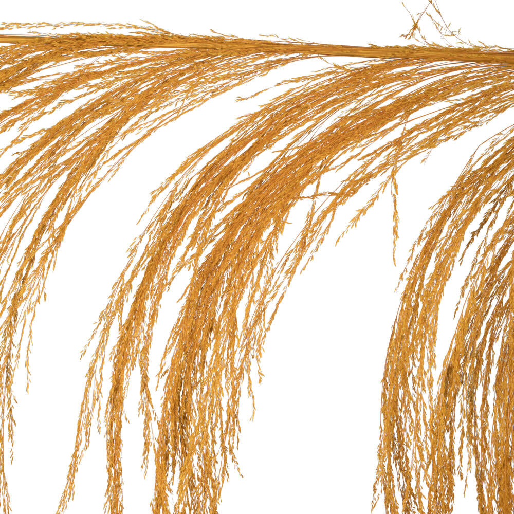Vickerman 60-72" Aspen Gold Uva Palm Spray standing between 60 to 72 inches tall. Pack of 10.