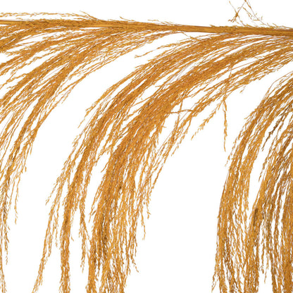Vickerman 60-72" Aspen Gold Uva Palm Spray standing between 60 to 72 inches tall. Pack of 10.