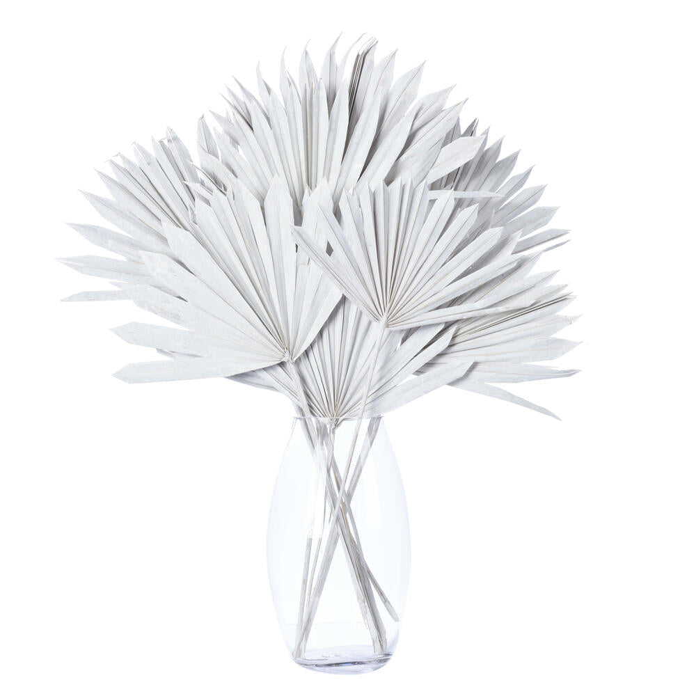 Vickerman Natural Botanicals 20" White Washed Palm Sun Stem. Includes 12 Pieces per Bunch.