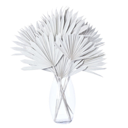 Vickerman Natural Botanicals 20" White Washed Palm Sun Stem. Includes 12 Pieces per Bunch.