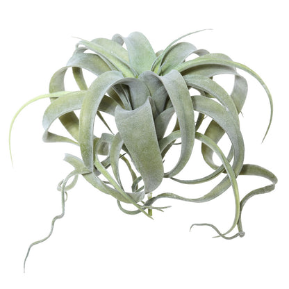 Vickerman 10.5" Artificial Green Tillandsia Pick.