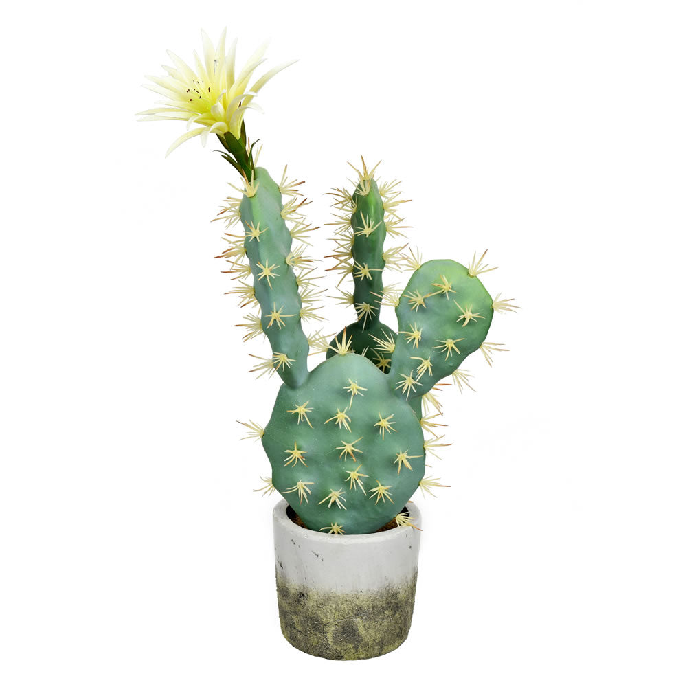 Vickerman 18" Artificial Green Cactus in Cement Pot.
