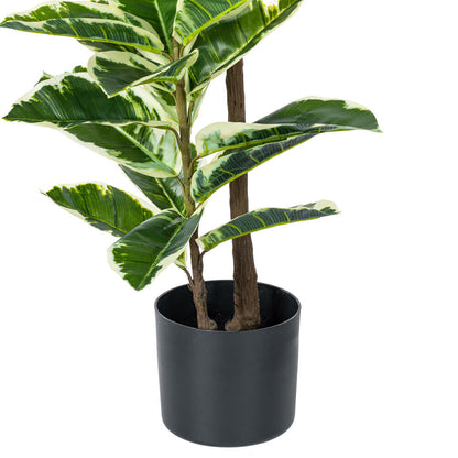 Vickerman 50" Artificial Potted Real Touch Dieffenbachia.
