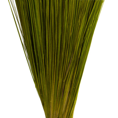 Vickerman 35-40" Basil Bright Grass 8 oz Bundle Dried