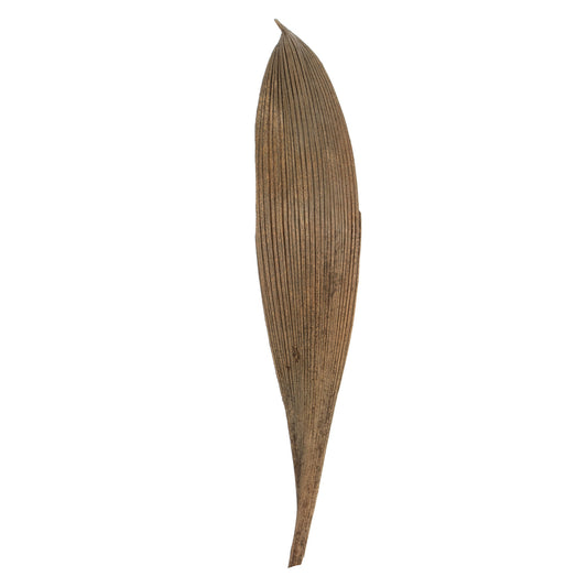 Vickerman 6-12" Natural Palm Paddles Includes 32-37 pieces Dried
