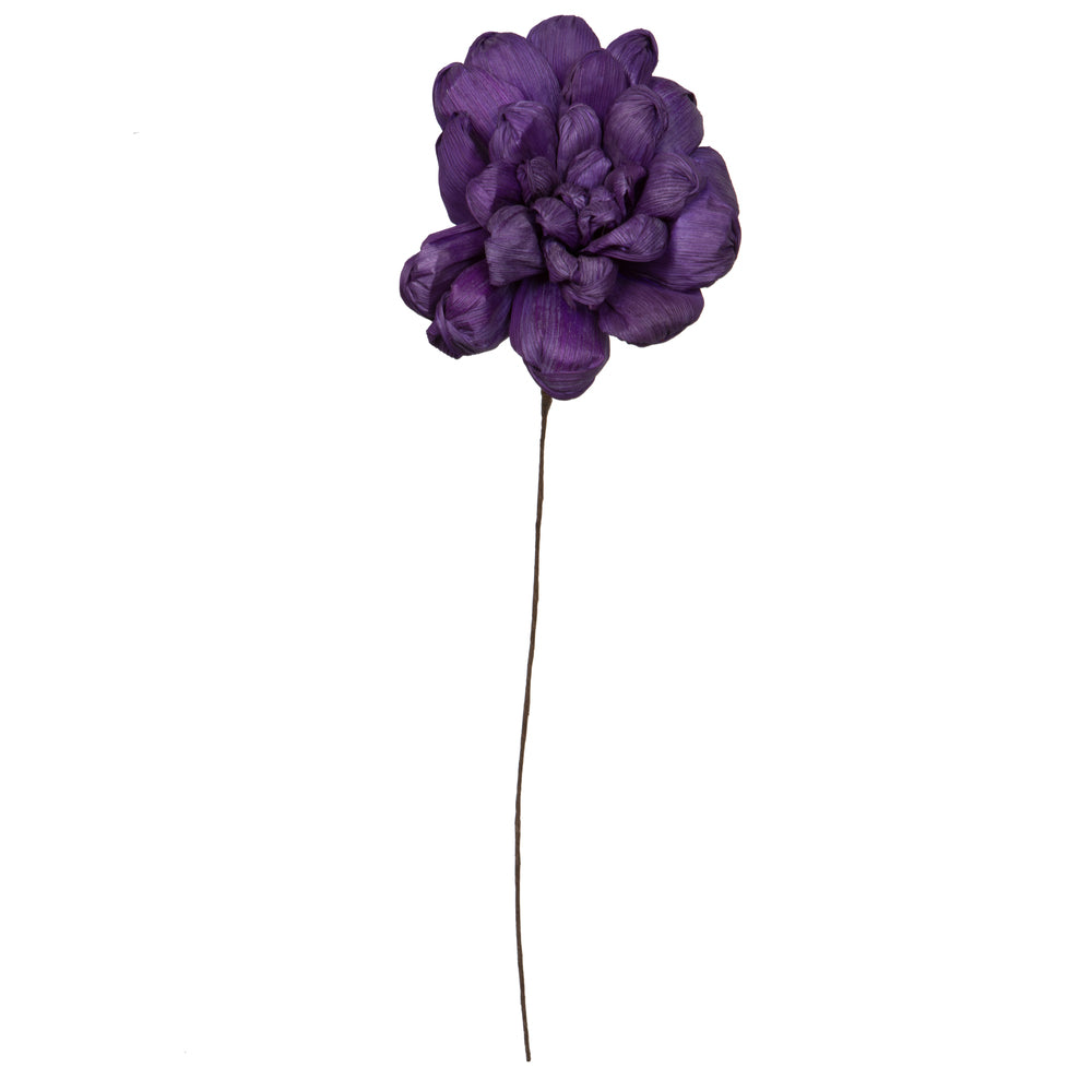Vickerman Natural Botanicals 6" Violet Maize Dahlia. 6 stem/bag. Dried and preserved.