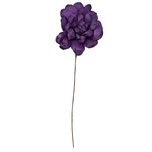 Vickerman Natural Botanicals 6" Violet Maize Dahlia. 6 stem/bag. Dried and preserved.