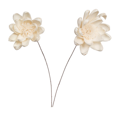 Vickerman Natural Botanicals 4" Natural Dried Crocus Sola Flower on 12" wire stem- 12 stem/polybag.