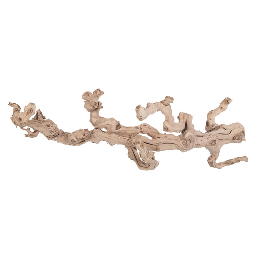 Vickerman Grapewood Sand Blasted Branch 36" Dried