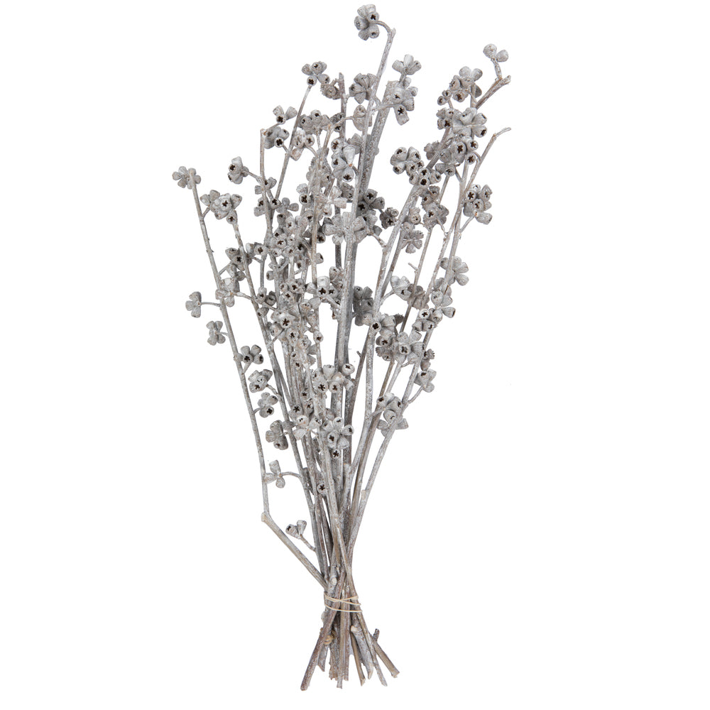 Vickerman Natural Botanicals 13" x 1-3" Red Gum Branch White Washed 14 stems per unit