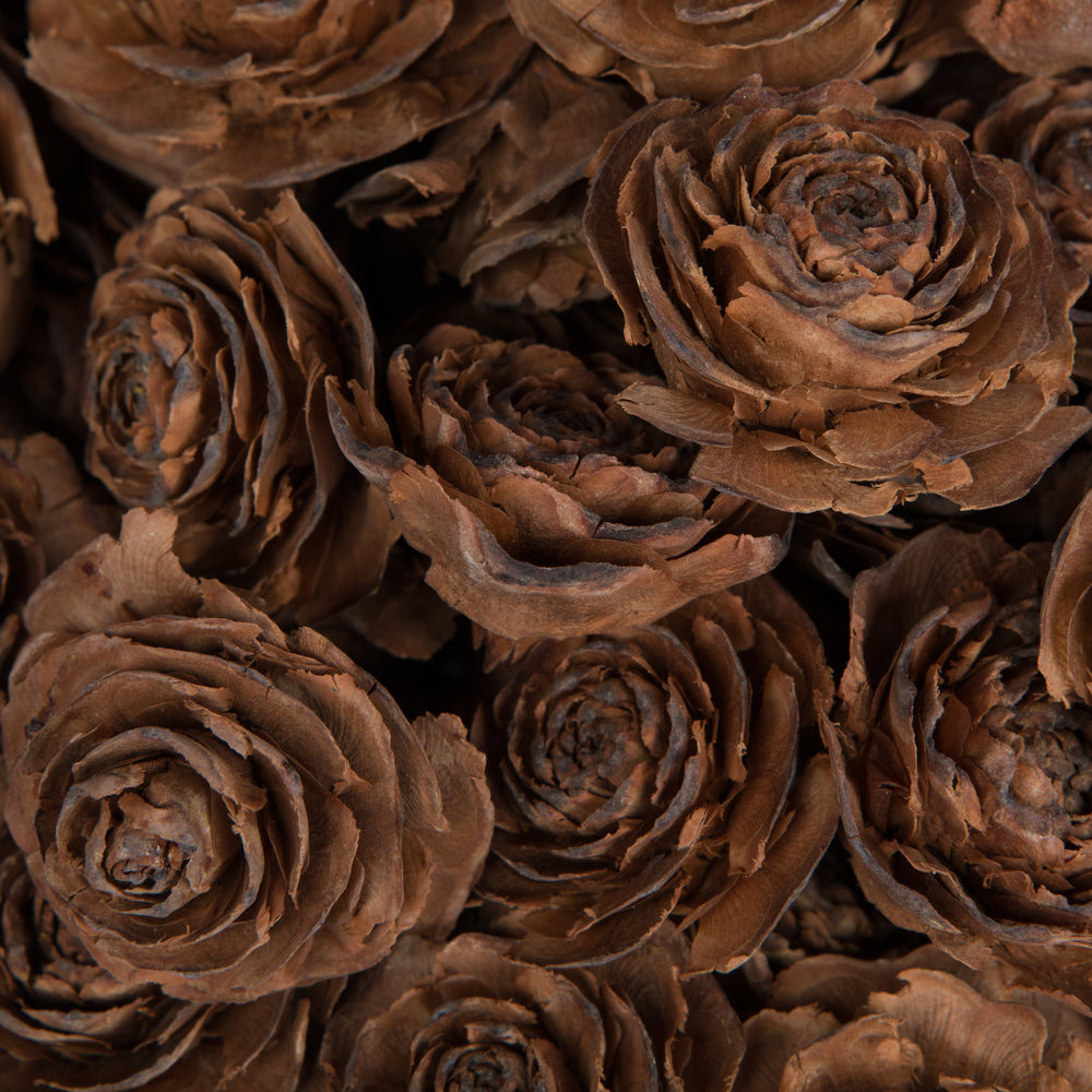 Vickerman Natural Botanicals 1.3"-1.8" Cedar Rose 100 Pieces per Polybag. 100 cedar roses per unit.