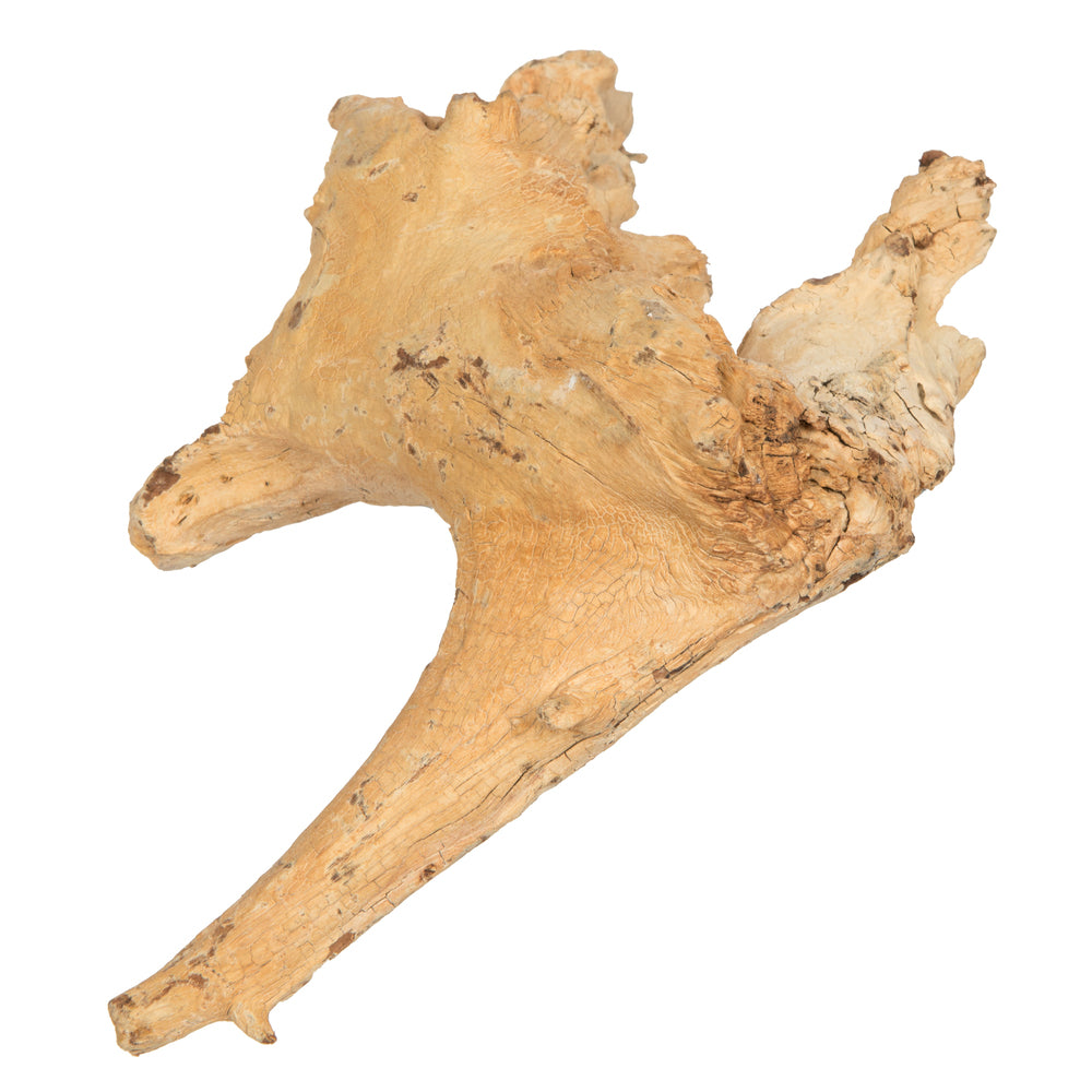 Vickerman 9-12" Bleached Roots - Amazonian Small 1 piece Dried