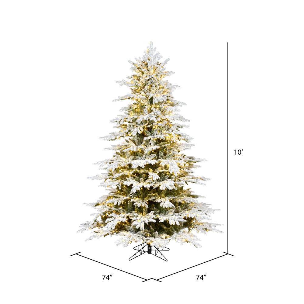 Vickerman 10' x 74" Flocked Kamas Fraser Tree Warm White Low Voltage 3MM LED Lights.