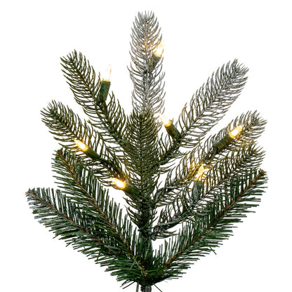 Vickerman 7.5' x 56" Frosted Danbury Spruce Artificial Pre-Lit Christmas Tree Warm White Lights.