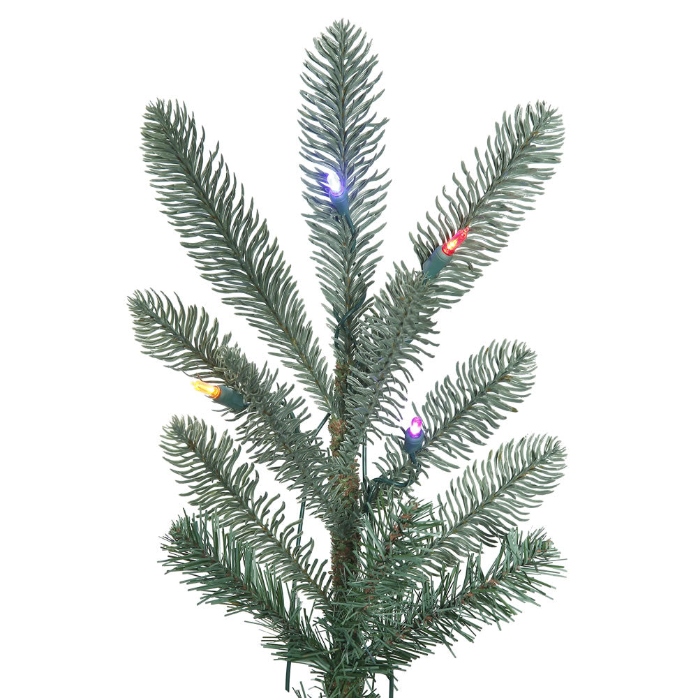 Vickerman 5' Alberta Blue Spruce Artificial Christmas Tree Multi-colored Dura-Lit LED lights