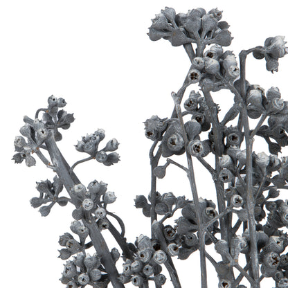 Vickerman Natural Botanicals 13" x 1-3" Red Gum Branch Gray Frosted 14 stems per unit