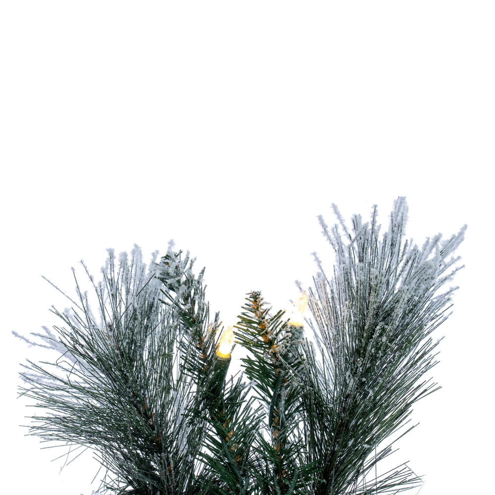 Vickerman 36" Flocked Jackson Pine Artificial Pre-Lit Wreath with 100 Warm White Lights and 195 PVC Tips