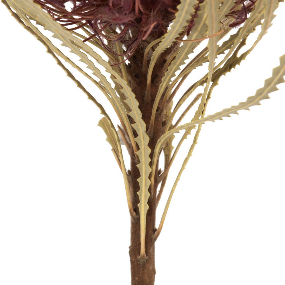 Vickerman 12" Jumbo Violet Banksia Flower with Stem. Includes 3 Stems per Pack. Dried