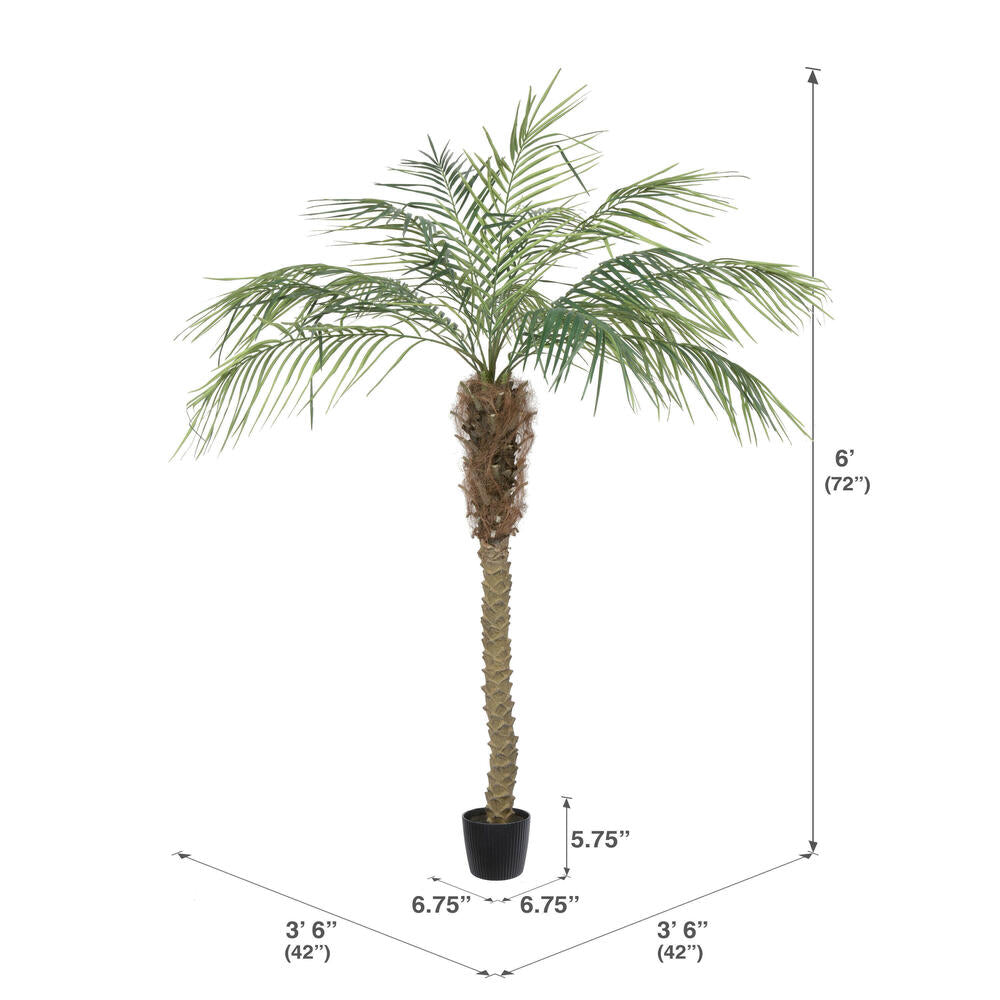 Vickerman 6' Artificial Potted Pheonix Palm Tree.