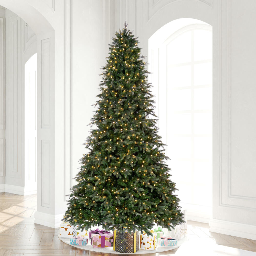 Vickerman 10' x 72" Douglas Fir Artificial Pre-Lit Christmas Tree Warm White 3mm LED Lights.