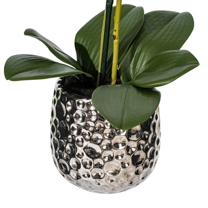 Vickerman 20.5" Artificial Potted Real Touch Red Phalaenopsis Spray.