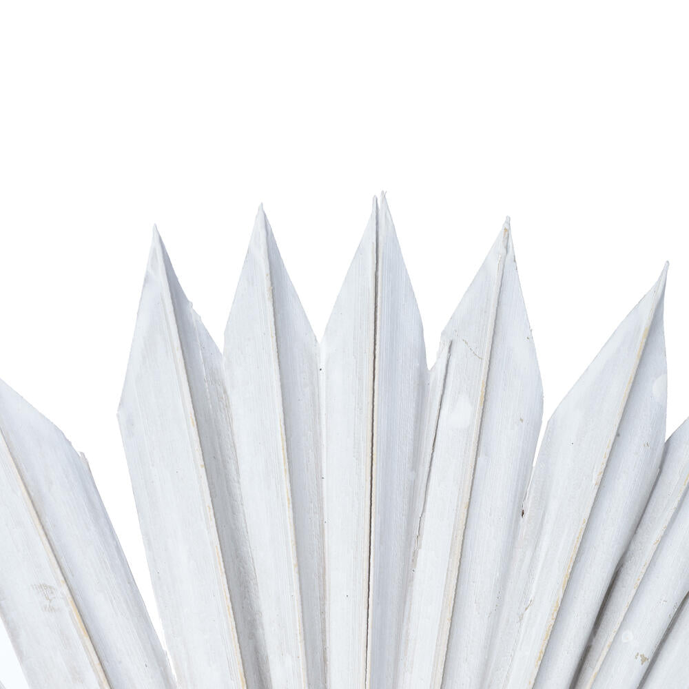Vickerman Natural Botanicals 20" White Washed Palm Sun Stem. Includes 12 Pieces per Bunch.