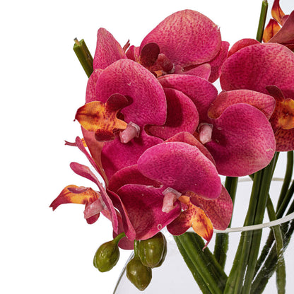 Vickerman 9.8" Artificial Pink Butterfly Orchid In Glass Pot.