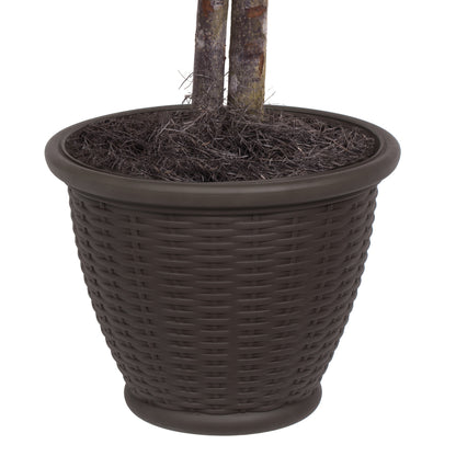 Vickerman 4' Artificial Silver Maple Bush Brown Plastic Container.