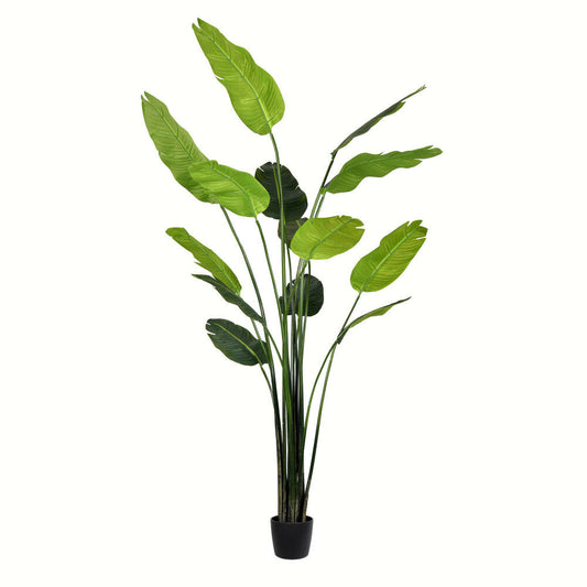 Vickerman 7' Artificial Potted Travellers Palm Tree.