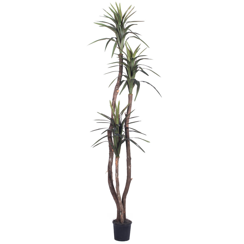 Vickerman 6.5' Artificial Marginata Deluxe Black Plastic Pot
