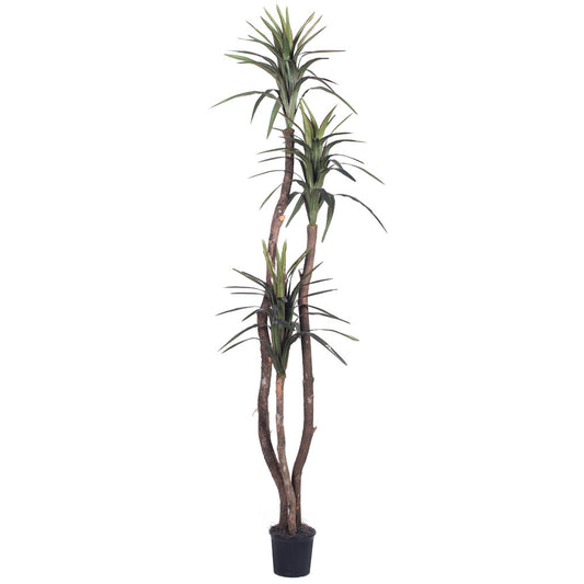 Vickerman 6.5' Artificial Marginata Deluxe Black Plastic Pot