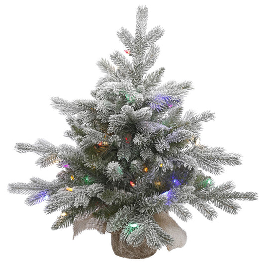 Vickerman 24" Frosted Sable Pine Artificial Christmas Tree Multi-Colored Dura-Lit® LED Lights.