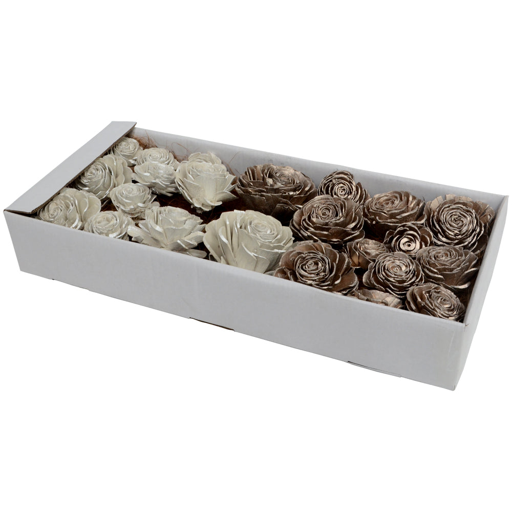 Vickerman 2"- 6" White Champagne Sola Rose Assorted 23 per Window Box Dried