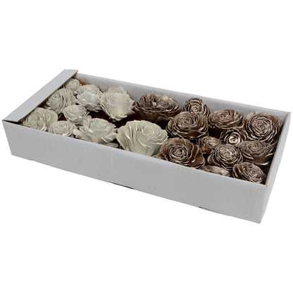 Vickerman 2"- 6" White Champagne Sola Rose Assorted 23 per Window Box Dried