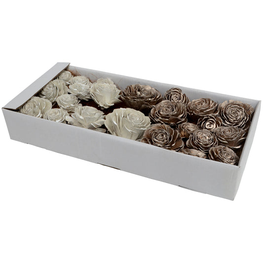 Vickerman 2"- 6" White Champagne Sola Rose Assorted 23 per Window Box Dried