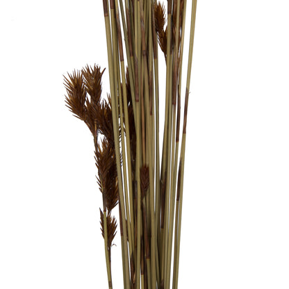 Vickerman Natural Botanicals 33" x 5" Thatch Reed 100 grams per Unit