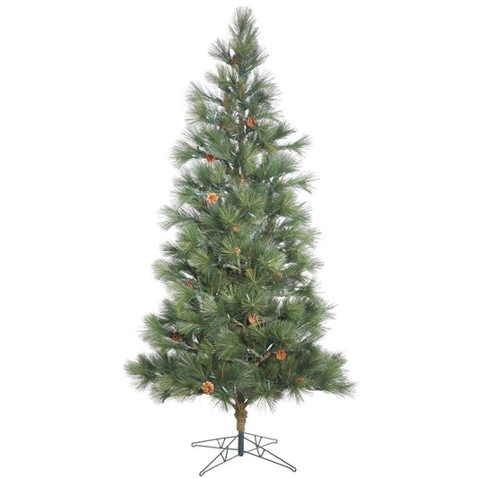 Vickerman 10.5' Redmond Spruce Artificial Christmas Tree Unlit