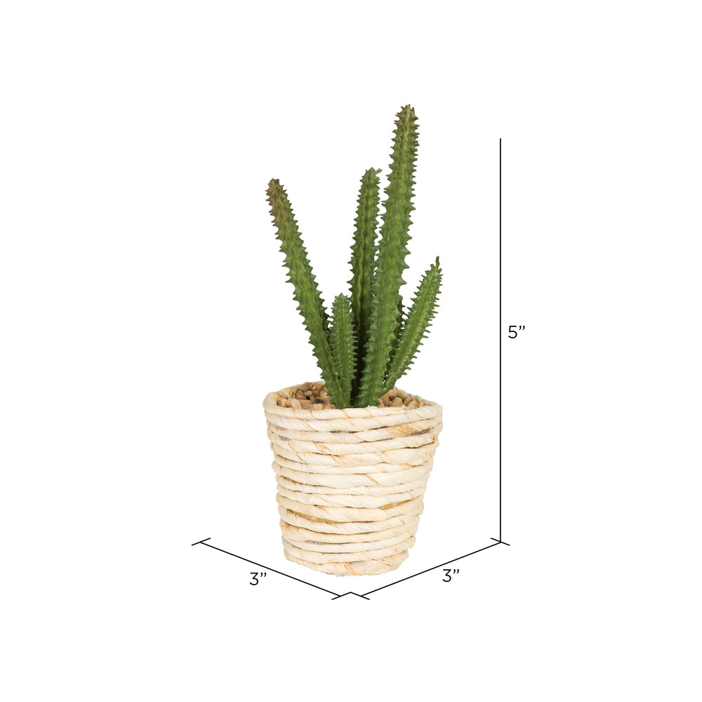 Vickerman 5" Artificial Potted Succulent Plants.