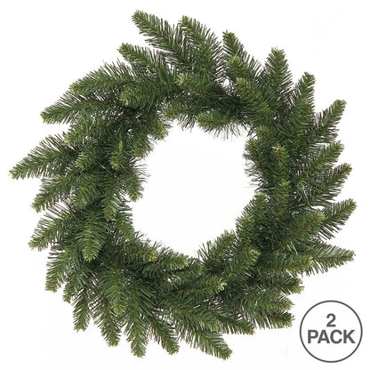 Vickerman 16" Camdon Fir Artificial Christmas wreath unlit Set of 2