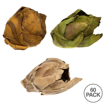 Vickerman 2-3" Assorted Cacho Pod Bulk Assorted Colors bulk case of 60 pods Dried