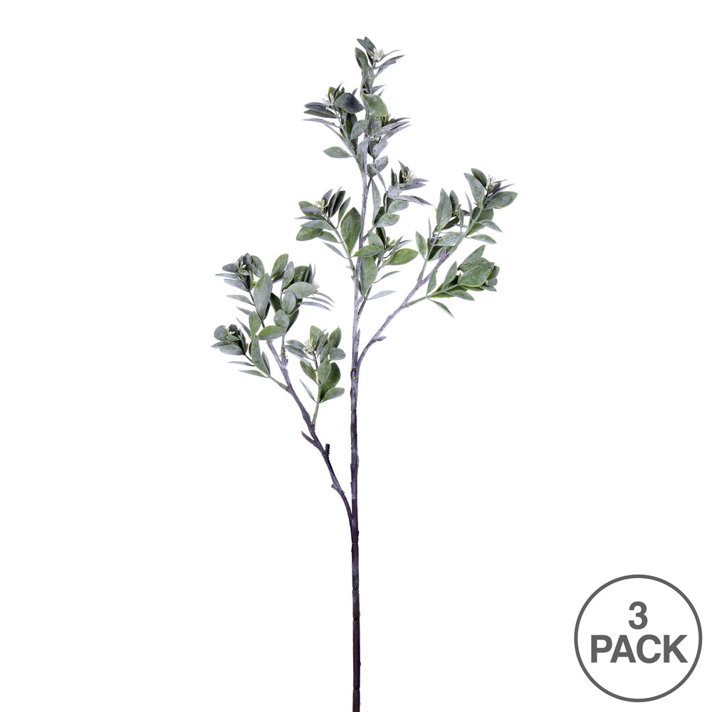 Vickerman 31" Artificial Green and White Aglaia Spray. Includes 3 sprays per pack.