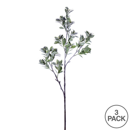 Vickerman 31" Artificial Green and White Aglaia Spray. Includes 3 sprays per pack.