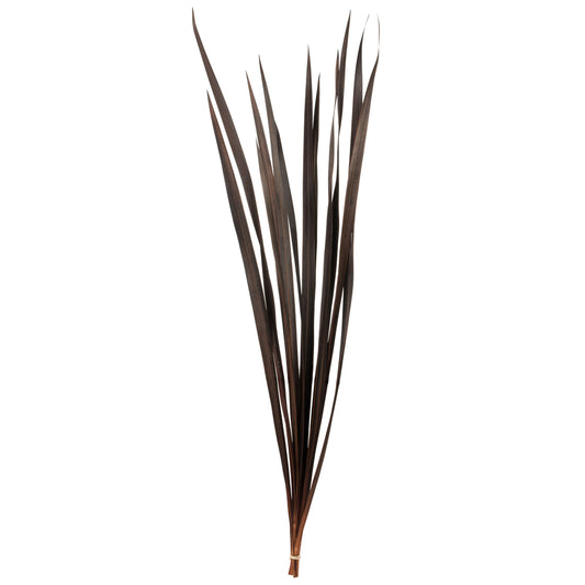 Vickerman 18-30" Brown Snake Grass. Includes 36 Stems (3 - 12 Stem Bundles) Dried