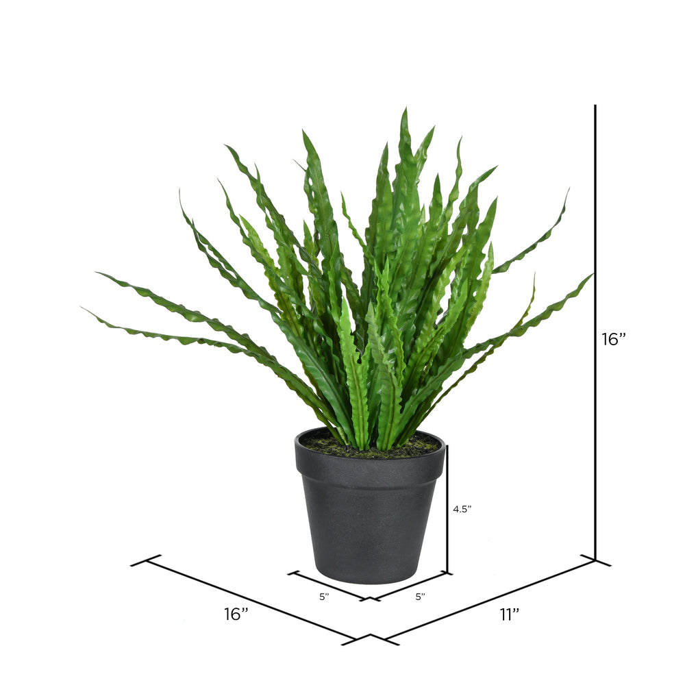 Vickerman 16" Artificial Potted Bird Nest Fern.
