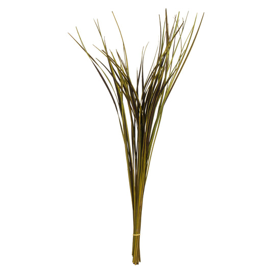 Vickerman 28"  Basil Splinter Grass 11 oz Bundle Dried
