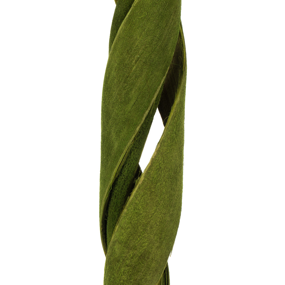 Vickerman 45 - 48" Basil Coco Velvet - Curled 3 stems Dried