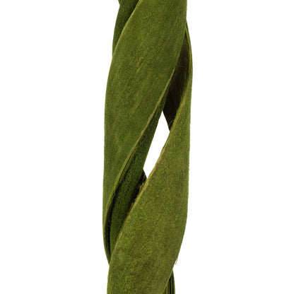Vickerman 45 - 48" Basil Coco Velvet - Curled 3 stems Dried
